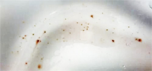 電熱鍋使用成本高嗎？不銹鋼鍋會(huì)生銹嗎？